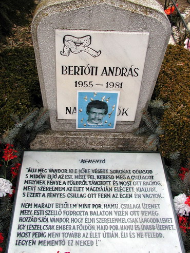 Bertóti Andris András, sír, Rákoskeresztúr